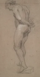 Standing Male Nude