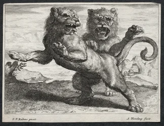 Various Lions