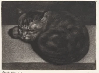 Sleeping Cat