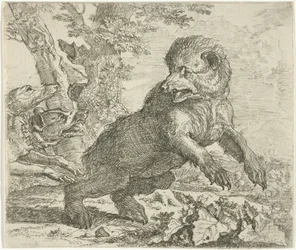 Bear Attacked by Dogs (Various Animals)