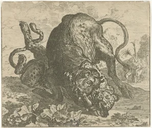 Leopard and Bull