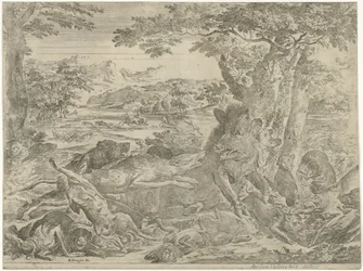Wild Boar Attacked by Dogs