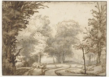 Path Through the Forest