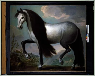 Horse in a Landscape