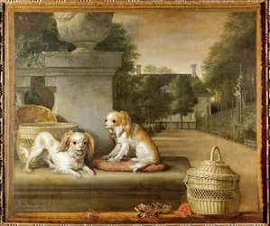 Two Dogs in a Park, Dog Baskets and a Country House
