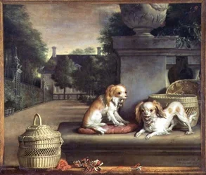 Two Dogs in a Park