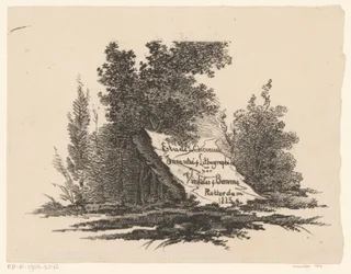 Rock in Landscape