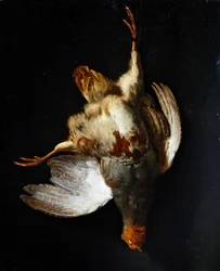 A still life with a partridge hanging from a nail
