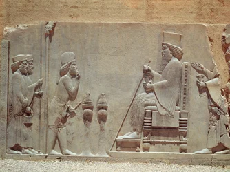 A Median officer paying homage to King Darius I from the Treasury