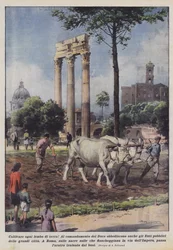 Cultivate Every Inch of Land!