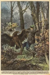 Dramatic Struggle with a Golden Eagle