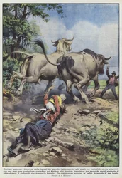 Maternal Heroism