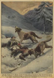 The dogs that save