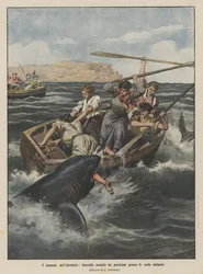 The dramas of the Adriatic, girls attacked by sharks near the Dalmatian coast