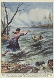 The Rescue Dog