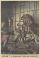 The Thief and the Lion