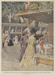 The National Exhibition of Dog, Cat, and Poultry Breeding, Opened on the 5th