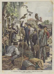 The Characteristic Bird Fair at Cisano, on Lake Garda