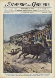 Romantic Reality in Egypt