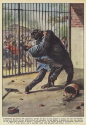 The Embrace of the Monster