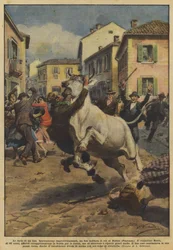 The fury of an ox