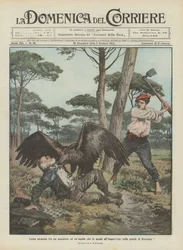 Fierce Struggle Between a Fisherman and an Eagle That Suddenly Attacked Him in the Pine Forest of Ravenna