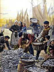 Sardine fishing in Brittany in 1903 illustration by Achille Beltrame