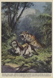 Tremendous Hand-to-Hand Combat