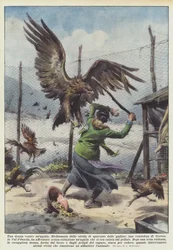 A Woman Against an Eagle