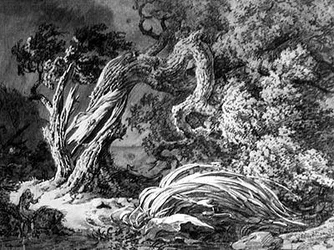 The Oak and the Reed