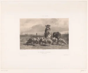 Farmer with Cattle and Sheep from Auvergne