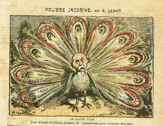 Illustration by Achille Lemot (1846-1909) in Le Pèlerin, 26/01/08 - Jacobin aviary - Left Bloc, wine crisis, revolt of winegrowers, Narbonne, Béziers, Aurore (newspaper) - Georges Clemenceau, peacock - Animalization