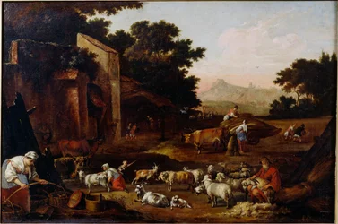 Sheep Shearing