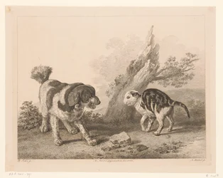 Dog and cat in fighting stance facing each other