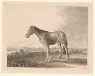 Standing Horse in a River Landscape (Animals after Paintings by Dutch Masters)