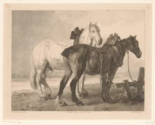 Two Horses in River Landscape