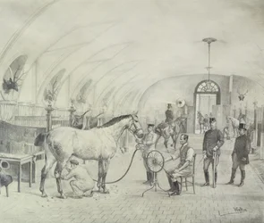 The Royal Stables: morning grooming