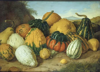 Large Still Life with Pumpkins