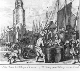 “Packing the herrings into barrels” (no. 12 from the herring fishing series)