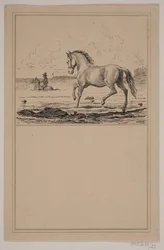 The Horse in the Water. No. 22 in Chr. Winther and M. Rørbye, 
