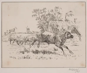 The Deer