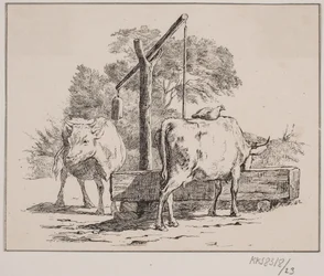 The Hen and the Cow