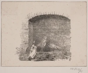 The Chickens and the Ducks