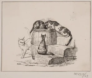 The Cats