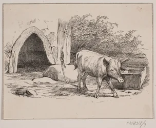 The Tethered Pig