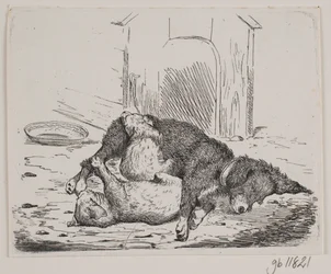 Chained Dog with Puppy