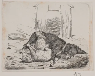Chained Dog with Puppy