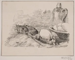 The Rats