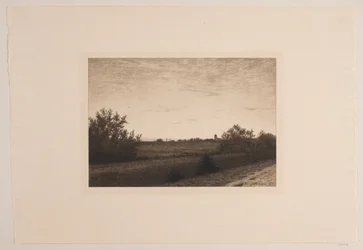 Summer Evening at Rødovre