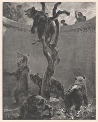Bear Pit in Zoo